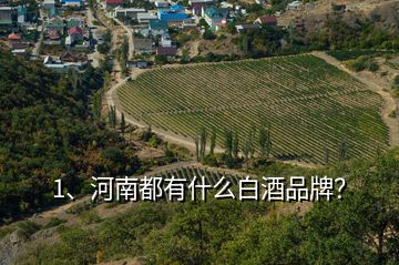 1、河南都有什么白酒品牌？