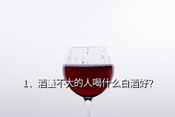 1、酒量不大的人喝什么白酒好？