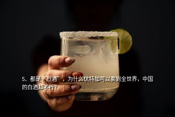 5、都是“烈酒”，為什么伏特加可以賣到全世界，中國的白酒卻不行？