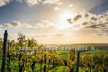 3、我是做白酒的，現(xiàn)在很困難，條友有什么好方法，指導(dǎo)一下，謝謝？