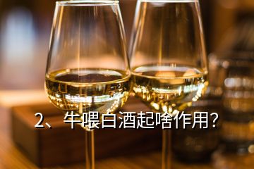 2、牛喂白酒起啥作用？