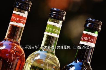 1、“五洋汾古郎”五大名酒一窩蜂漲價(jià)，白酒行業(yè)怎么了？