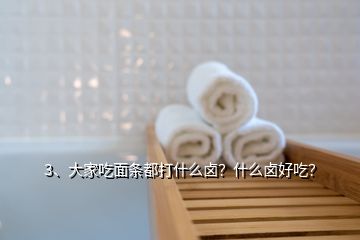 3、大家吃面條都打什么鹵？什么鹵好吃？