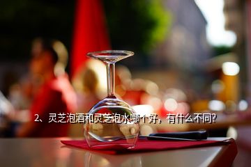 2、靈芝泡酒和靈芝泡水哪個好，有什么不同？