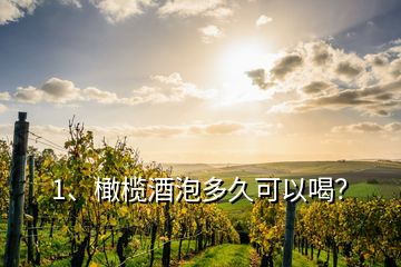 1、橄欖酒泡多久可以喝？