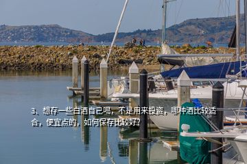 3、想存一些白酒自己喝，不是用來投資，哪種酒比較適合，便宜點的，如何保存比較好？