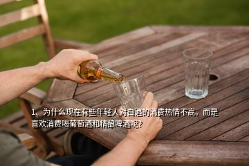 1、為什么現(xiàn)在有些年輕人對(duì)白酒的消費(fèi)熱情不高。而是喜歡消費(fèi)喝葡萄酒和精釀啤酒呢？