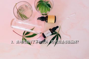 2、貴州的酒除了茅臺以外，你還知道哪些品牌？