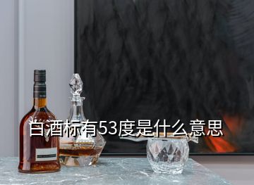 白酒標(biāo)有53度是什么意思