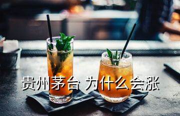 貴州茅臺(tái) 為什么會(huì)漲