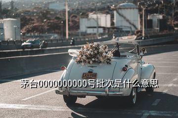 茅臺0000000000號批次是什么意思