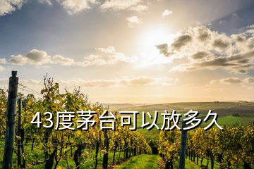 43度茅臺(tái)可以放多久