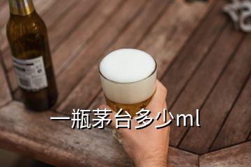 一瓶茅臺多少ml