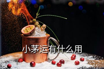 小茅運(yùn)有什么用