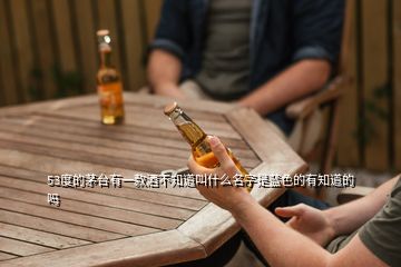 53度的茅臺(tái)有一款酒不知道叫什么名字是藍(lán)色的有知道的嗎