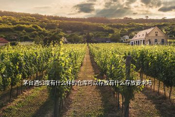 茅臺(tái)酒53度有什么樣的倉(cāng)庫可以存放有什么存放要求嗎