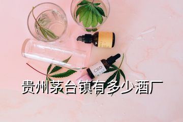 貴州茅臺鎮(zhèn)有多少酒廠