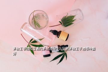 茅臺(tái)王子酒和普通的茅臺(tái)酒有什么區(qū)別茅臺(tái)王子酒哪種最好