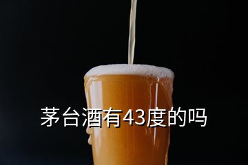 茅臺(tái)酒有43度的嗎