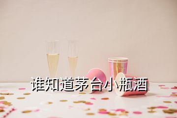 誰知道茅臺小瓶酒