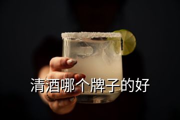 清酒哪個牌子的好