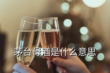 茅臺(tái)母酒是什么意思