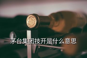 茅臺集團技開是什么意思