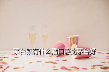 茅臺(tái)鎮(zhèn)有什么酒口感比茅臺(tái)好