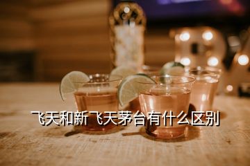 飛天和新飛天茅臺(tái)有什么區(qū)別