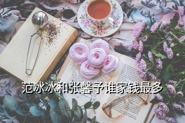 范冰冰和張馨予誰(shuí)家錢最多