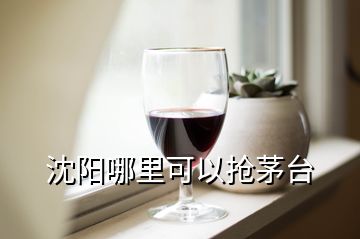 沈陽哪里可以搶茅臺(tái)