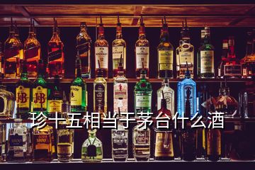 珍十五相當(dāng)于茅臺(tái)什么酒