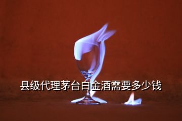 縣級代理茅臺白金酒需要多少錢