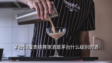 茅臺53度奧德尊享酒是茅臺什么級別的酒