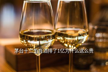 茅臺十二生肖酒排了1億為什么這么貴