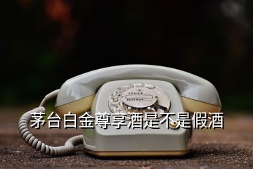 茅臺(tái)白金尊享酒是不是假酒