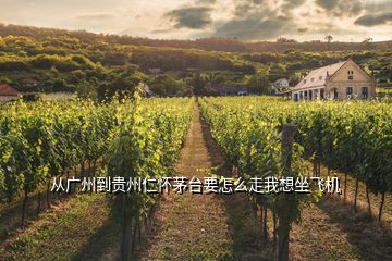 從廣州到貴州仁懷茅臺(tái)要怎么走我想坐飛機(jī)