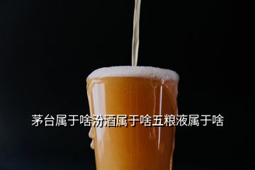 茅臺屬于啥汾酒屬于啥五糧液屬于啥