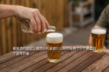 葡萄酒的瓶封上面的小孔是做什么用的有兩個(gè)三個(gè)甚至四個(gè)這樣的葡