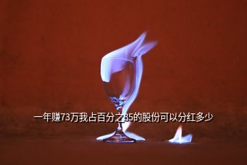 一年賺73萬(wàn)我占百分之35的股份可以分紅多少