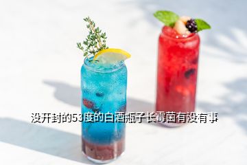 沒開封的53度的白酒瓶子長霉菌有沒有事