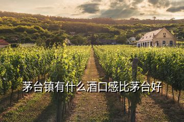 茅臺鎮(zhèn)有什么酒口感比茅臺好