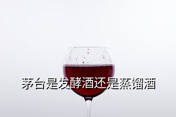 茅臺(tái)是發(fā)酵酒還是蒸餾酒