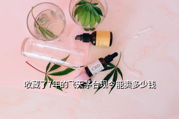收藏了7年的飛天茅臺現今能賣多少錢