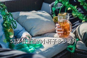 53茅臺(tái)里面的小杯子多少毫升