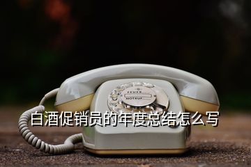 白酒促銷員的年度總結(jié)怎么寫