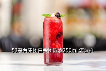 53茅臺集團白金團圓酒250ml 怎么樣