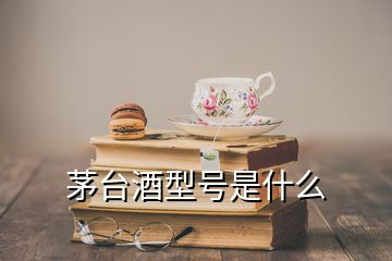 茅臺(tái)酒型號(hào)是什么