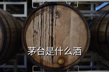 茅臺(tái)是什么酒