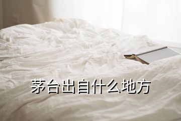 茅臺出自什么地方